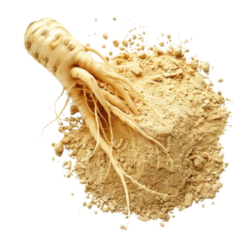 Ginseng