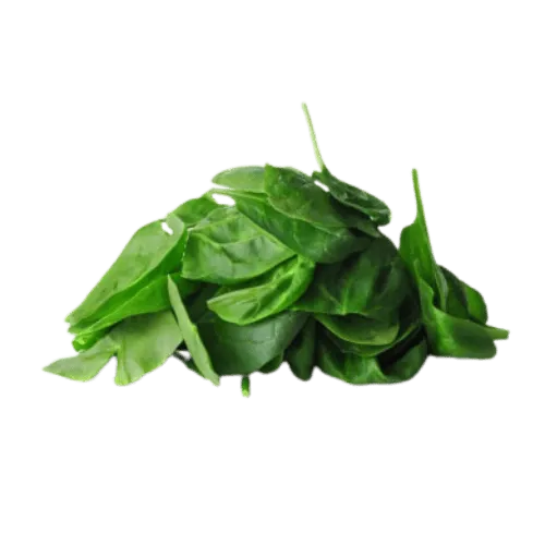 Folsäure